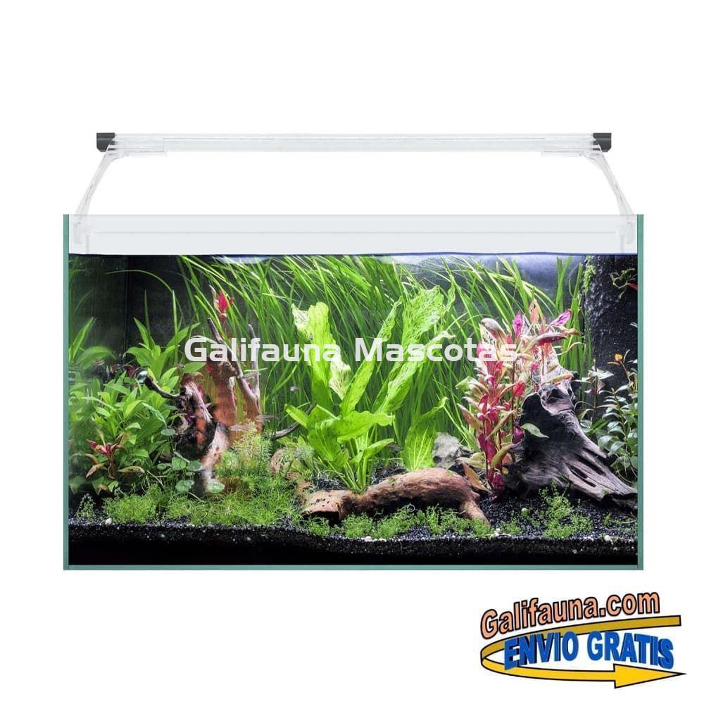 Acuario kit AQUALIGHT GLASS 50. "Vive el mundo del aquascape". - Imagen 1