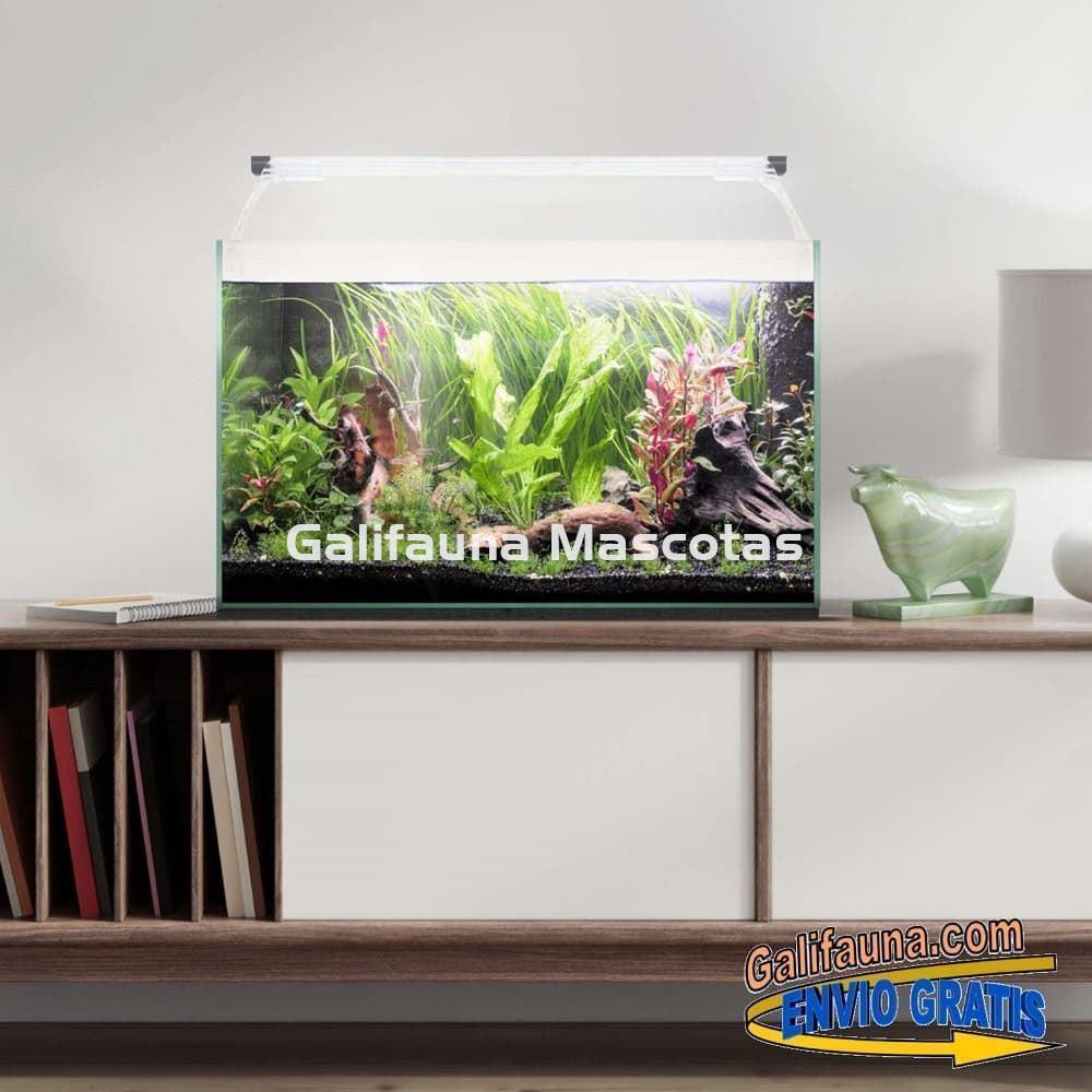 Acuario kit AQUALIGHT GLASS 50. "Vive el mundo del aquascape". - Imagen 2