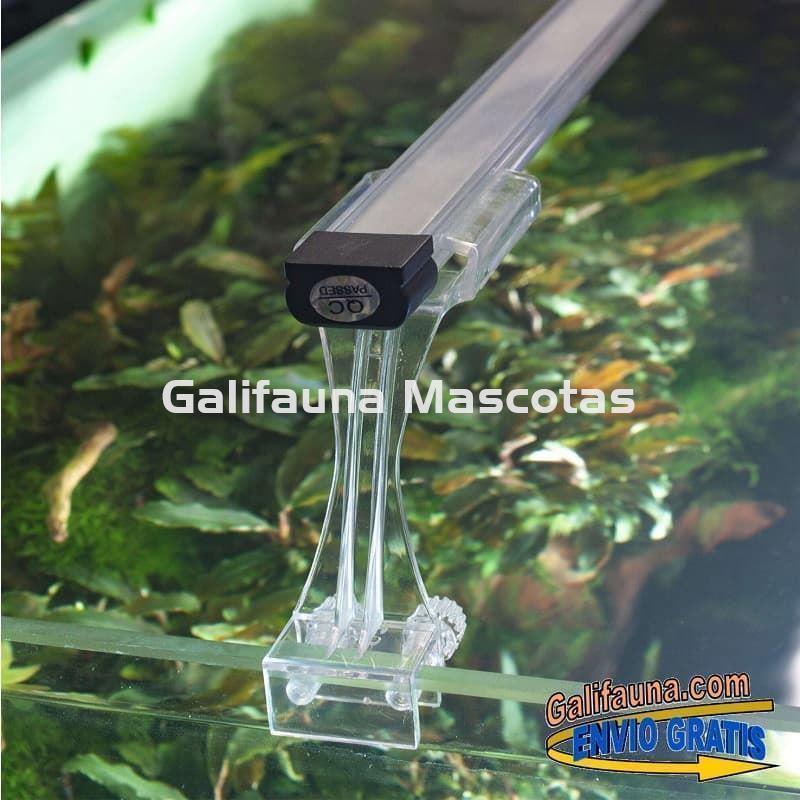 Acuario kit AQUALIGHT GLASS 50. "Vive el mundo del aquascape". - Imagen 3