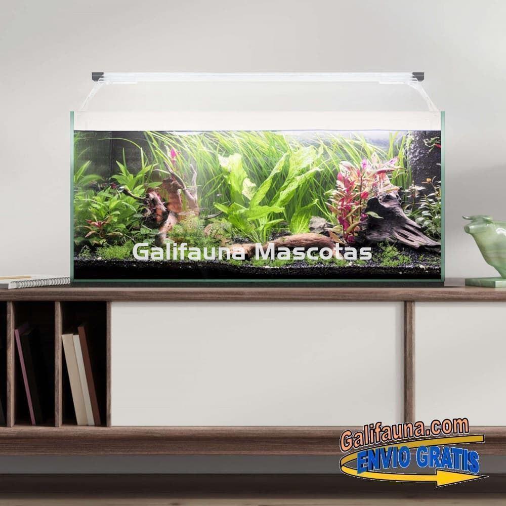 Acuario kit AQUALIGHT GLASS 60. "Vive el mundo del aquascape". - Imagen 1