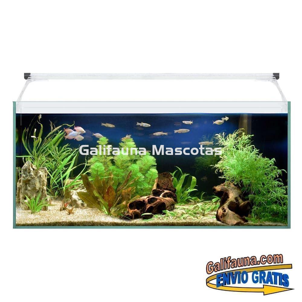 Acuario kit AQUALIGHT GLASS 60. "Vive el mundo del aquascape". - Imagen 2