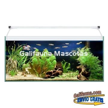 Acuario kit AQUALIGHT GLASS 60.  "Vive el mundo del aquascape". - Imagen 2