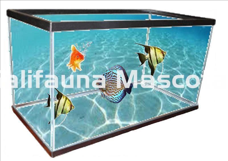 Acuario Kit Aquapez 20 O 40 L. con urna de cristal y marco. - Imagen 1