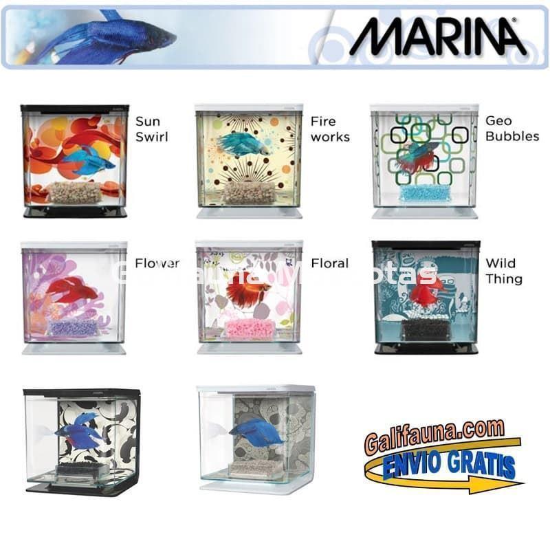 Acuario KIT BETERA de 2 litros. Con grava, alimento y acondicionador de agua. - Imagen 1