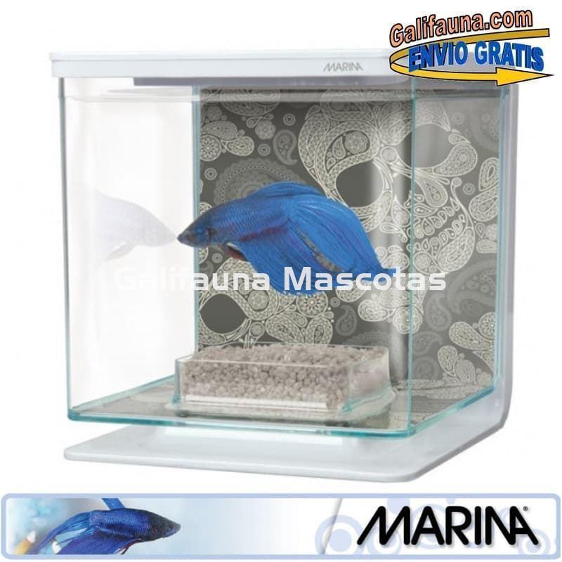 Acuario KIT BETERA de 2 litros. Con grava, alimento y acondicionador de agua. - Imagen 3