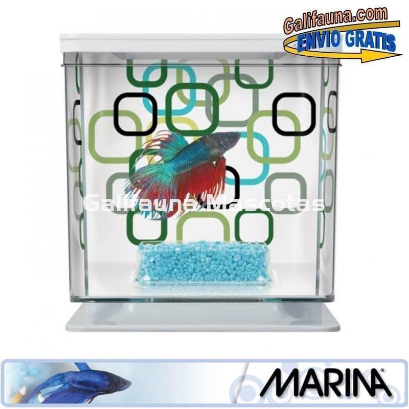 Acuario KIT BETERA de 2 litros. Con grava, alimento y acondicionador de agua. - Imagen 5