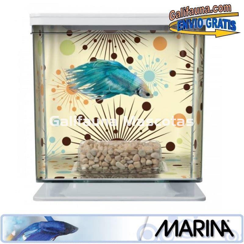 Acuario KIT BETERA de 2 litros. Con grava, alimento y acondicionador de agua. - Imagen 6