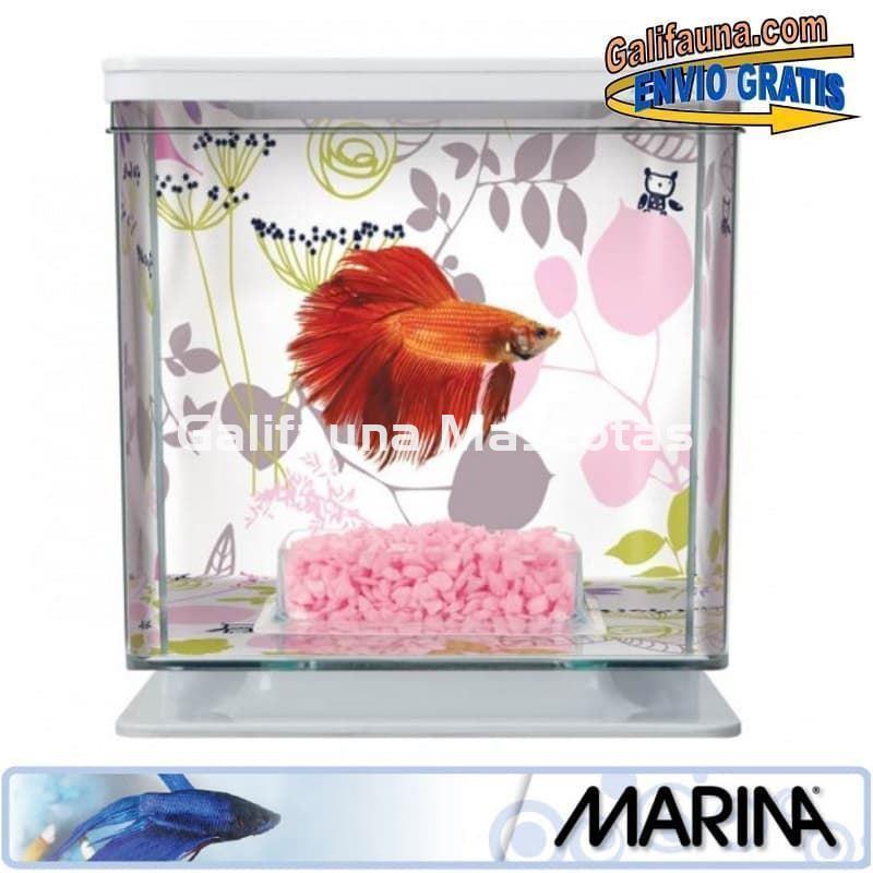 Acuario KIT BETERA de 2 litros. Con grava, alimento y acondicionador de agua. - Imagen 7