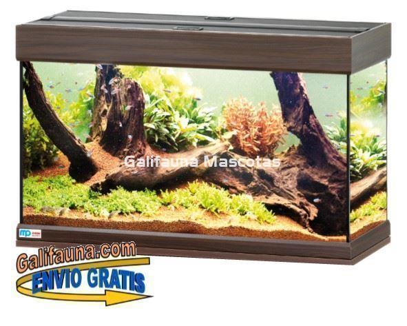 ACUARIO KIT EHEIM VIVALINE 126 L. - Imagen 4