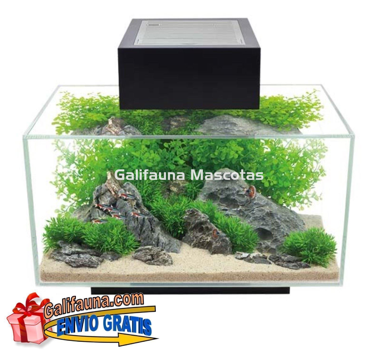 ACUARIO KIT FLUVAL EDGE 2.0. 23 litros. - Imagen 1