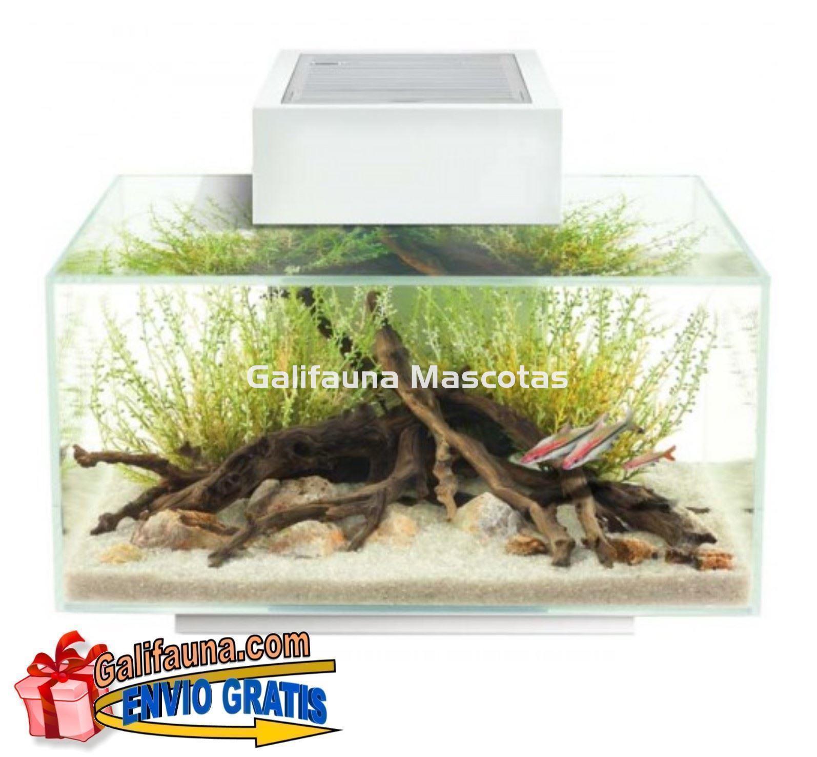 ACUARIO KIT FLUVAL EDGE 2.0. 23 litros. - Imagen 2