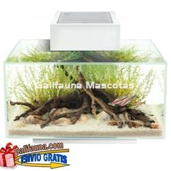ACUARIO KIT FLUVAL EDGE 2.0.  23 litros. - Imagen 2