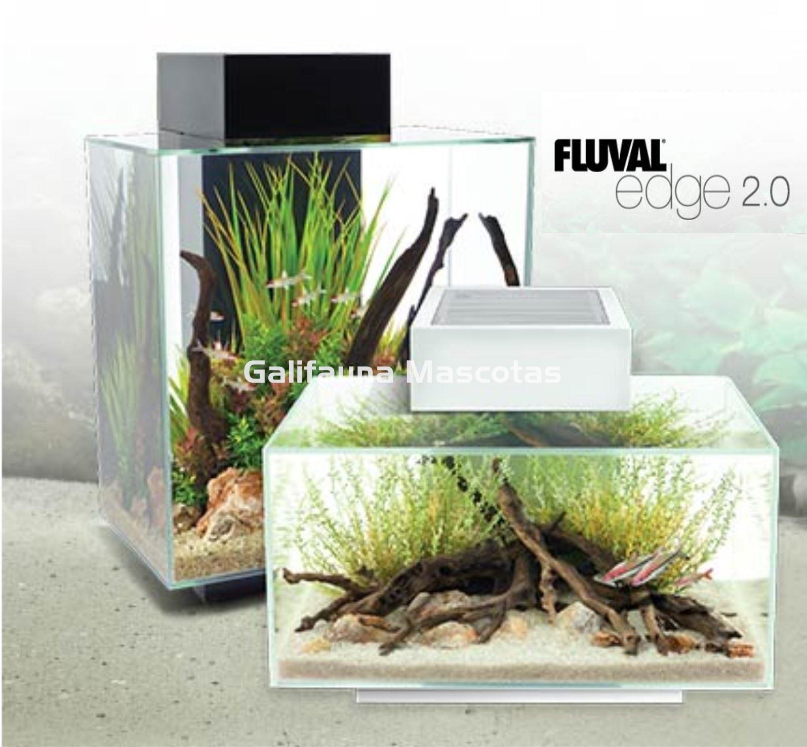 ACUARIO KIT FLUVAL EDGE 2.0. 23 litros. - Imagen 7