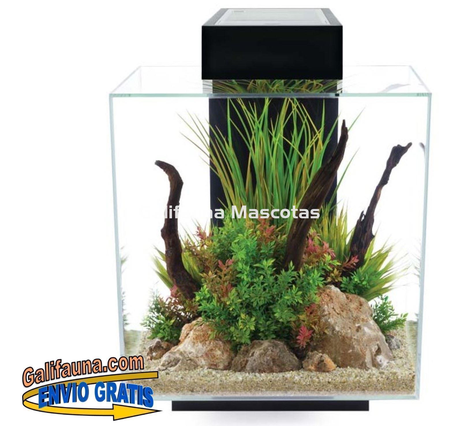 ACUARIO KIT FLUVAL EDGE 2.0. 46 litros. - Imagen 2