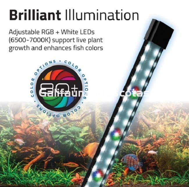 ACUARIO KIT  Fluval Flex 2.0  "El diseño y la practicidad en un solo acuario." - Imagen 12