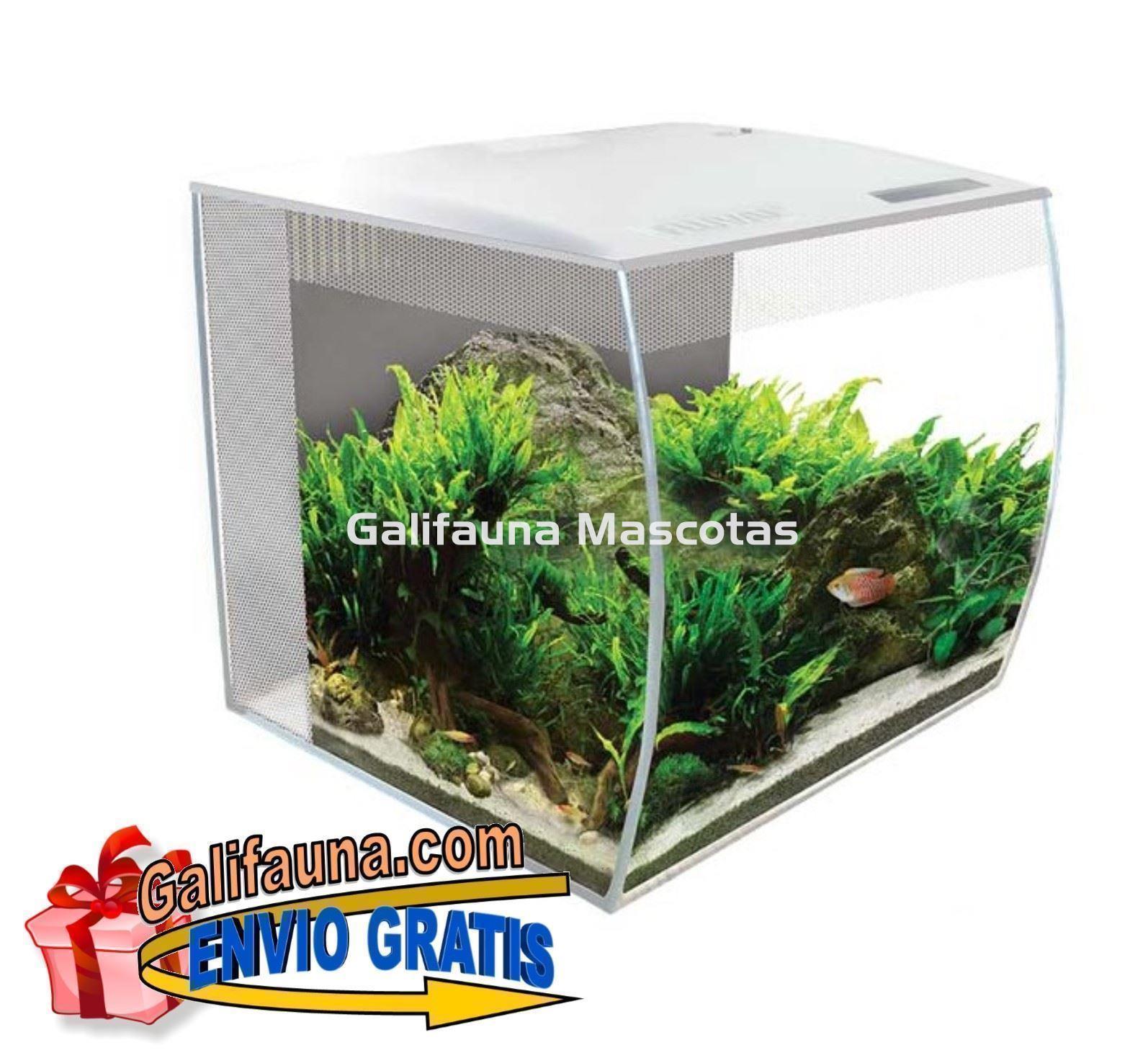 ACUARIO KIT FLUVAL FLEX 34 litros. "El diseño y la practicidad en un solo acuario." - Imagen 1