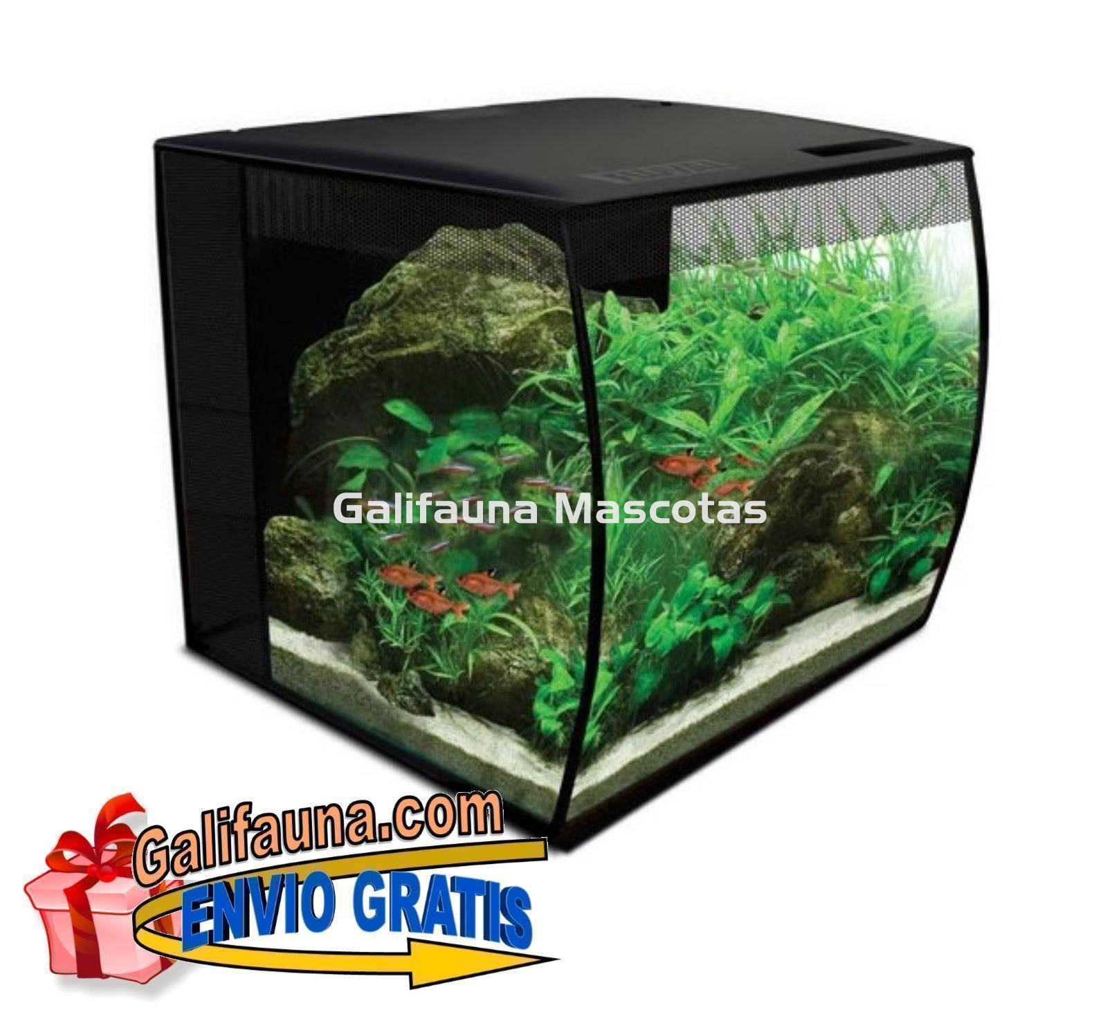 ACUARIO KIT FLUVAL FLEX 34 litros. "El diseño y la practicidad en un solo acuario." - Imagen 3