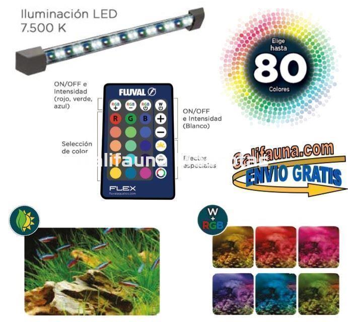 ACUARIO KIT FLUVAL FLEX 34 litros. "El diseño y la practicidad en un solo acuario." - Imagen 4