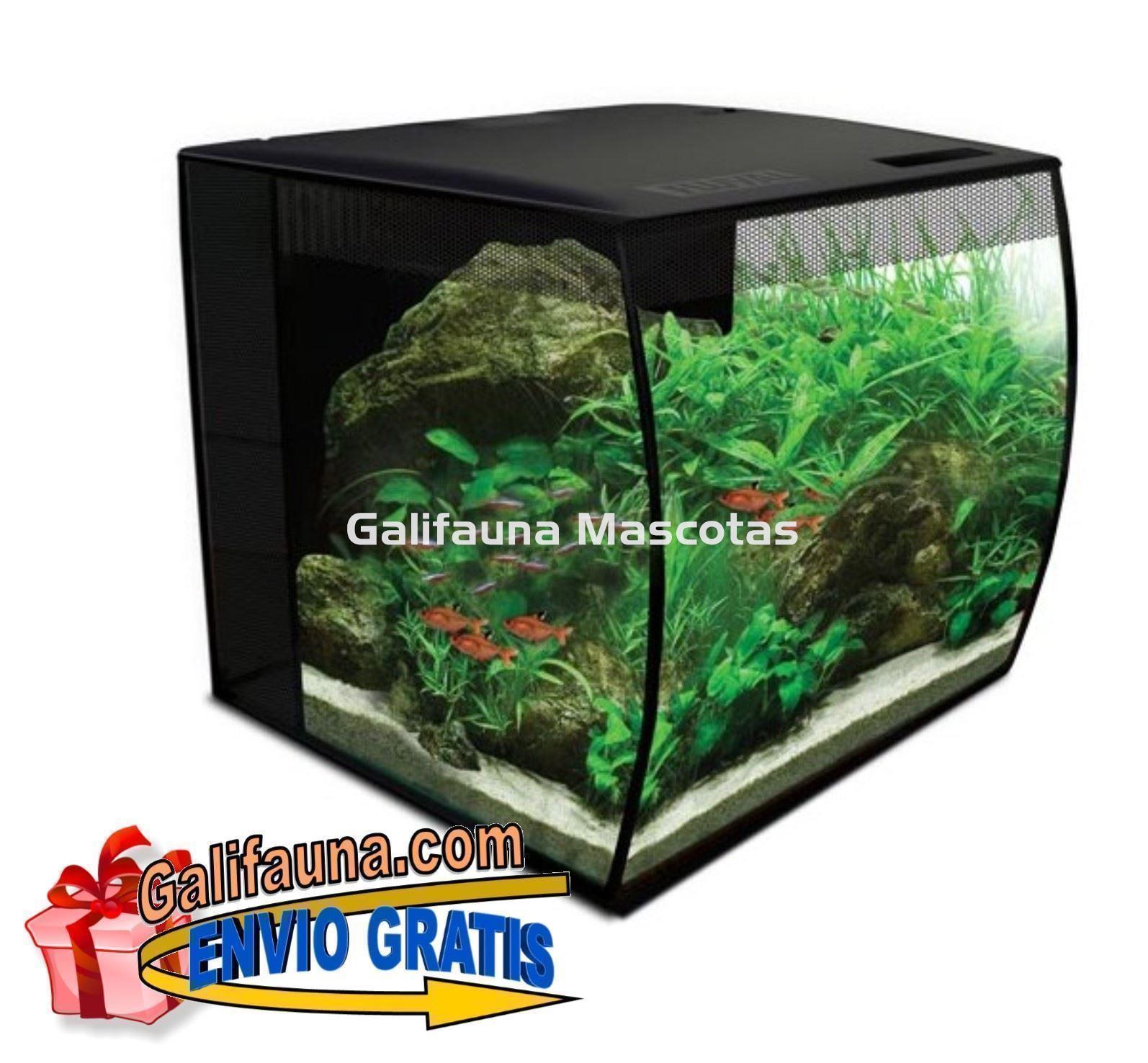 ACUARIO KIT FLUVAL FLEX 57 litros. "El diseño y la practicidad en un solo acuario." - Imagen 1