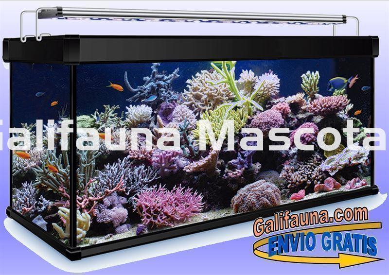 Acuario Marino 300 litros AquaLux PRO Marino. - Imagen 2