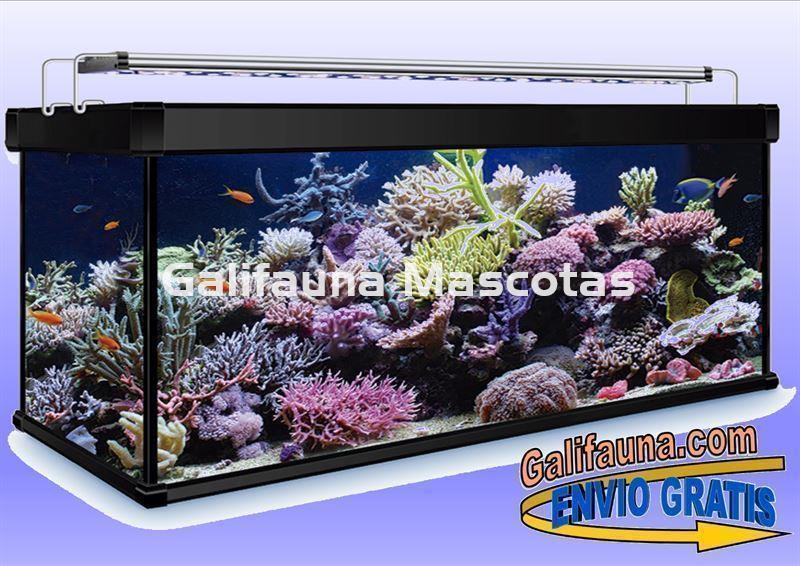 Acuario Marino 600 litros AquaLux PRO Marino. - Imagen 2