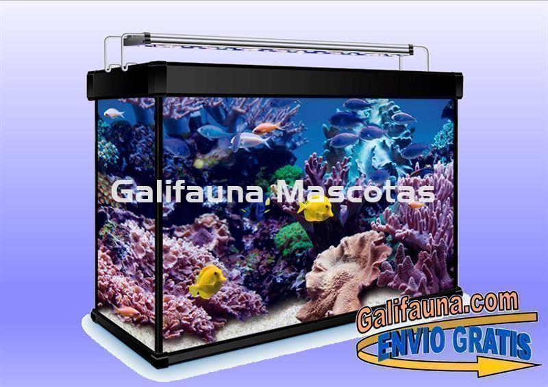 Acuario Marino  68 litros AquaLux PRO Marino. - Imagen 2