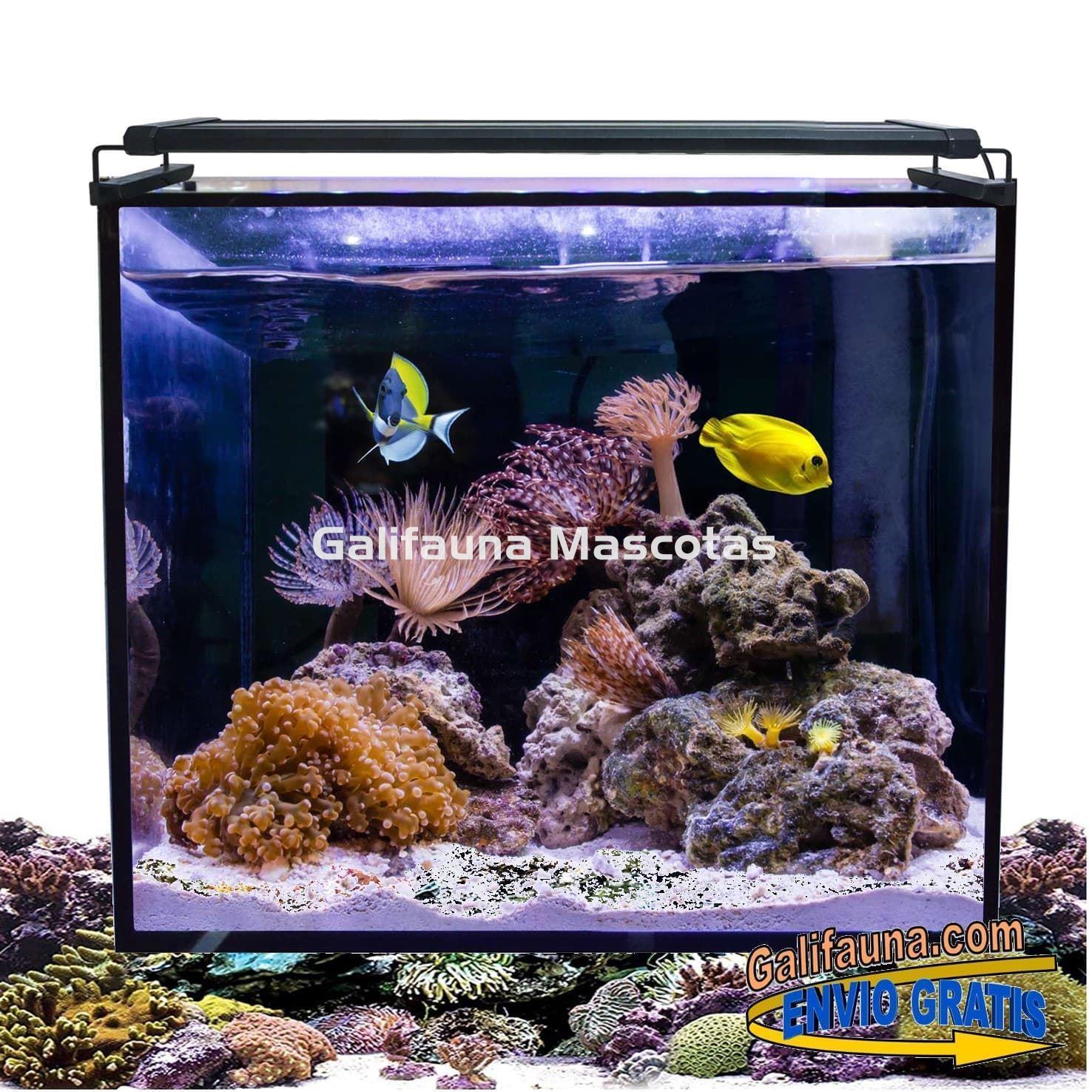 Acuario marino AQUA OCEAN HYDRA (164 l) - Imagen 1