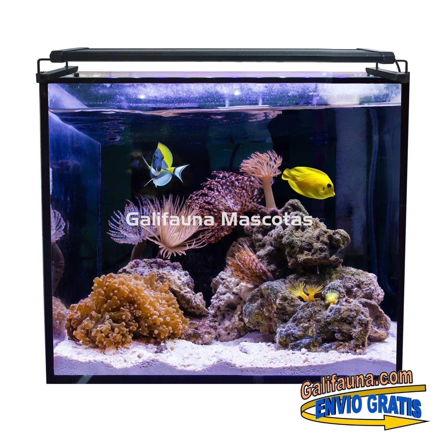 Acuario marino AQUA OCEAN HYDRA (164 l) - Imagen 2