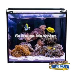 Acuario marino AQUA OCEAN HYDRA  (164 l) - Imagen 2