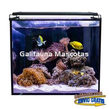 Acuario marino AQUA OCEAN HYDRA  (164 l) - Imagen 2