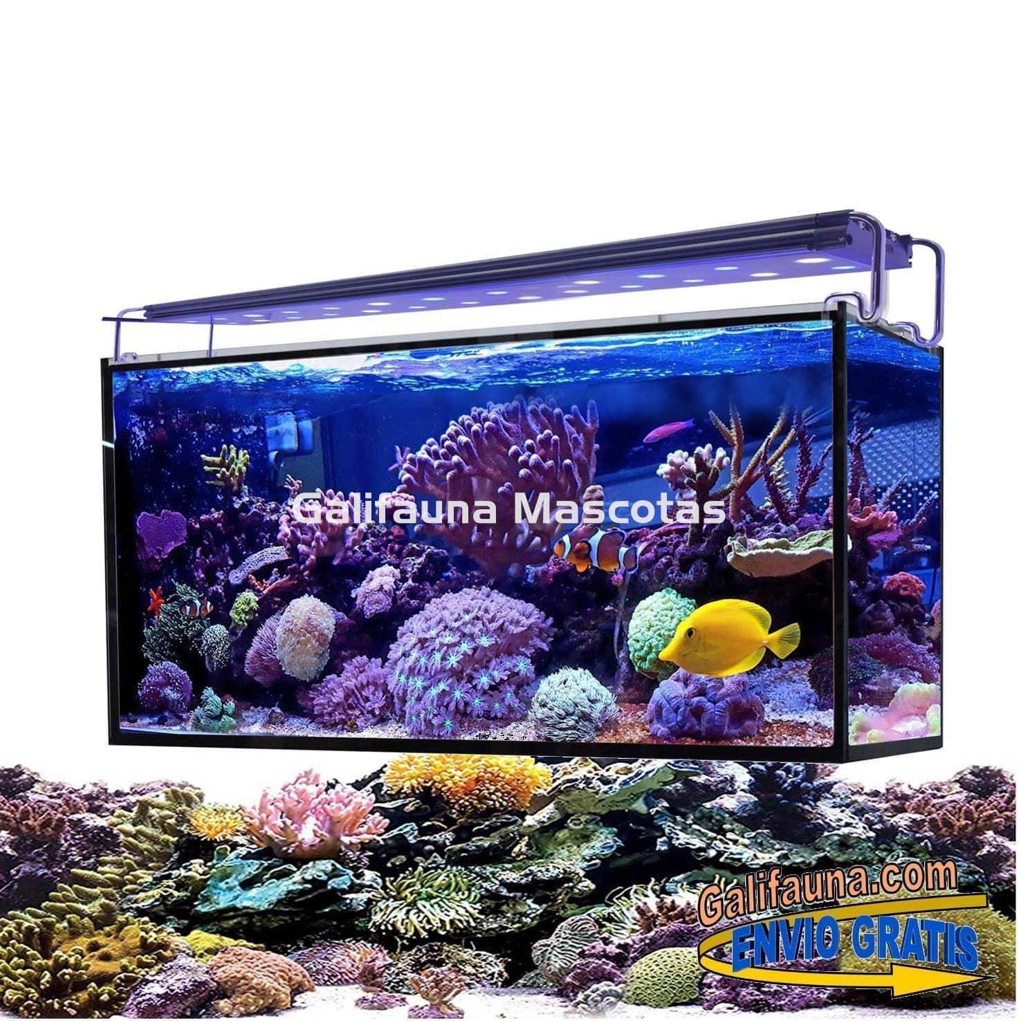 Acuario marino AQUA OCEAN HYDRA (180 l) - Imagen 1