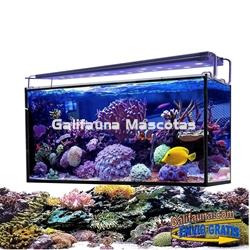 Acuario marino AQUA OCEAN HYDRA  (180 l) - Imagen 1