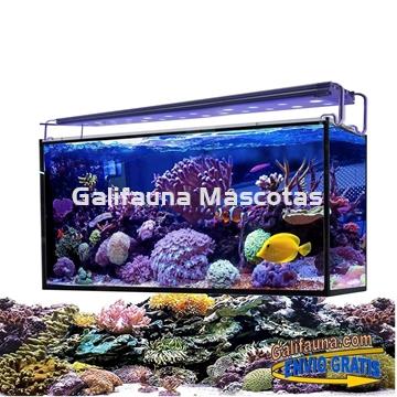 Acuario marino AQUA OCEAN HYDRA  (180 l) - Imagen 1
