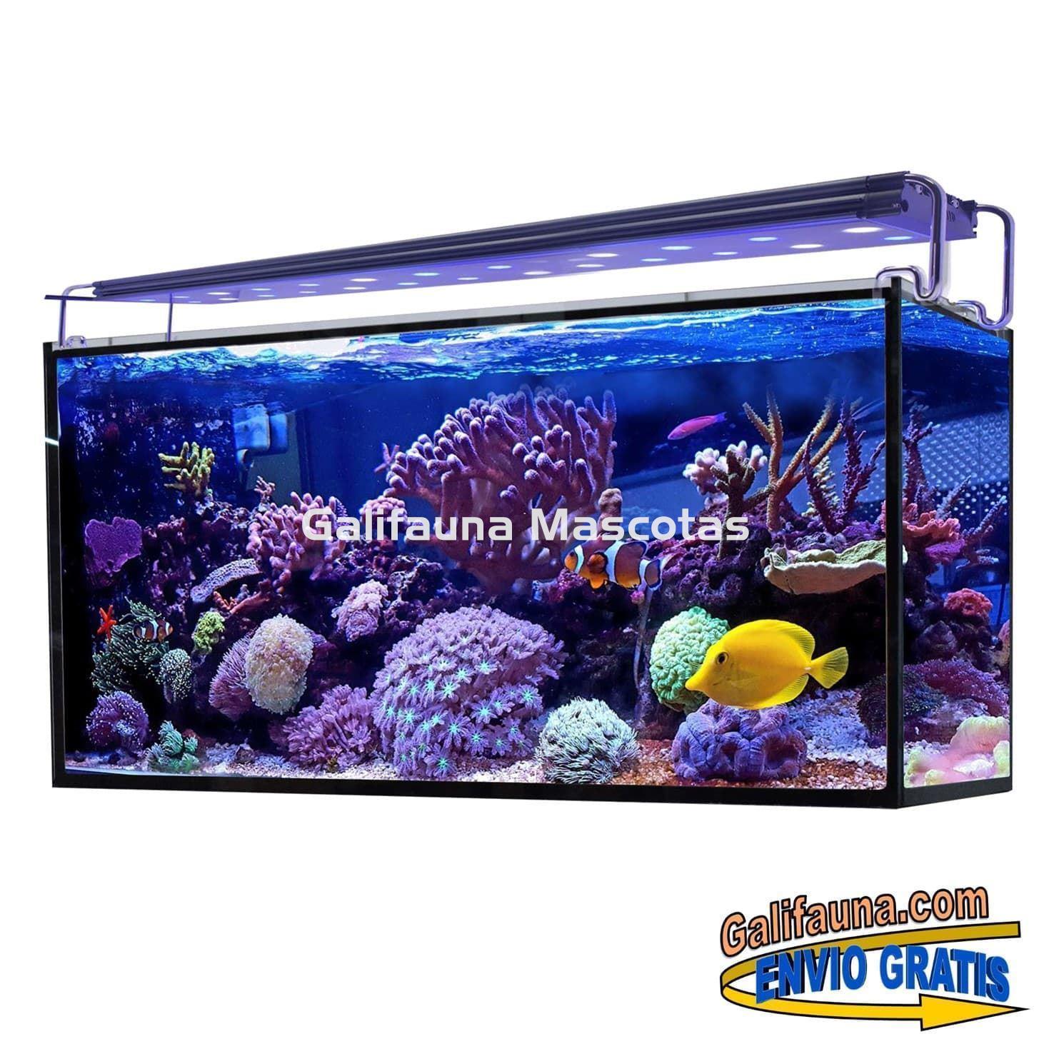 Acuario marino AQUA OCEAN HYDRA (180 l) - Imagen 2