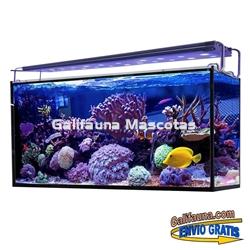 Acuario marino AQUA OCEAN HYDRA  (180 l) - Imagen 2