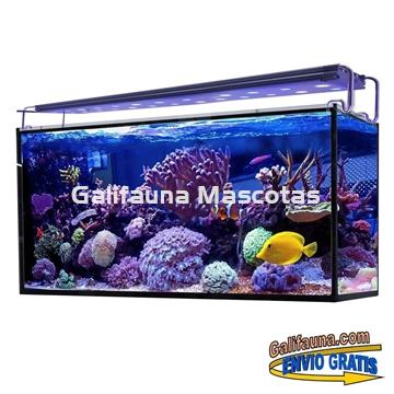 Acuario marino AQUA OCEAN HYDRA  (240 l) - Imagen 1