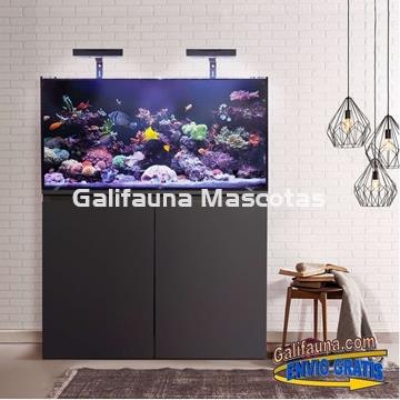 Acuario marino KORAL (112 l) - Imagen 2