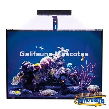 Acuario marino KORAL (72 l) - Imagen 1