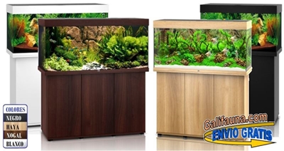 Acuario+Mesa