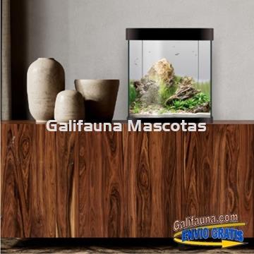 Acuario Nano Aqualed Crystal de 10, 20 o 30 litros. - Imagen 1