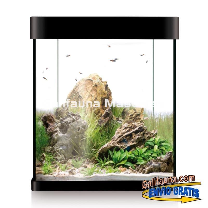 Acuario Nano Aqualed Crystal de 10, 20 o 30 litros. - Imagen 3