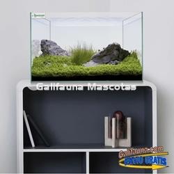 Acuario urna de cristal con tapa. varias medidas. - Imagen 2