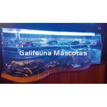 Acuarios de metacrilato a medida. - Imagen 2