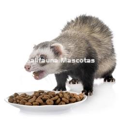 ALIMENTO para Hurones ALL-PET. Pienso premium para Hurones. - Imagen 2