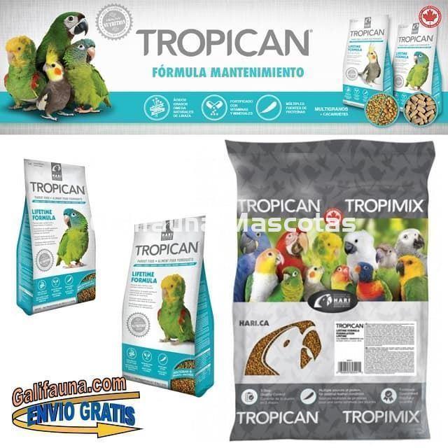 Alimento TROPICAN MANTENIMIENTO. Pienso para Loros. - Imagen 1