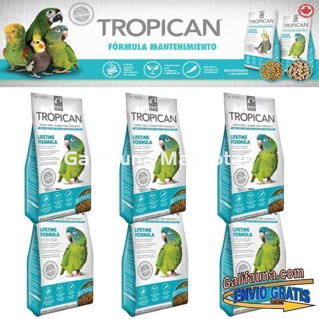 Alimento TROPICAN MANTENIMIENTO. Pienso para Loros. - Imagen 3