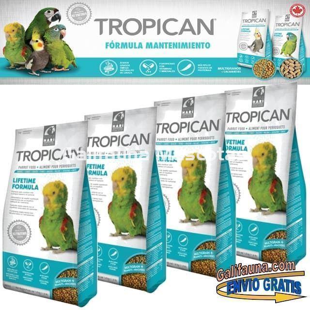 Alimento TROPICAN MANTENIMIENTO. Pienso para Loros. - Imagen 4