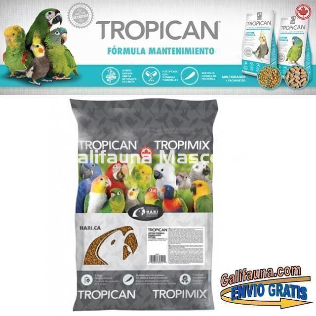 Alimento TROPICAN MANTENIMIENTO. Pienso para Loros. - Imagen 5