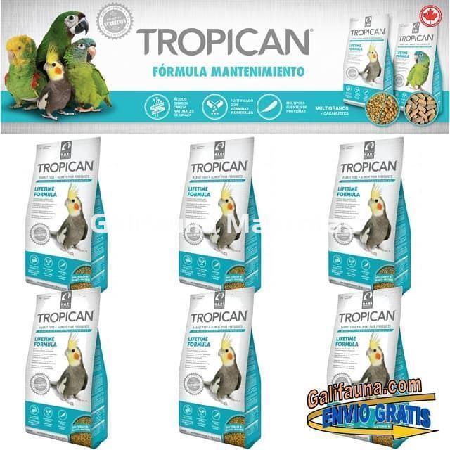 Alimento TROPICAN MANTENIMIENTO. Pienso para Ninfas y Agapornis. - Imagen 2