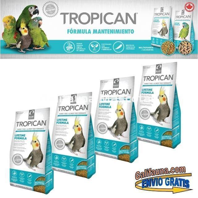 Alimento TROPICAN MANTENIMIENTO. Pienso para Ninfas y Agapornis. - Imagen 3